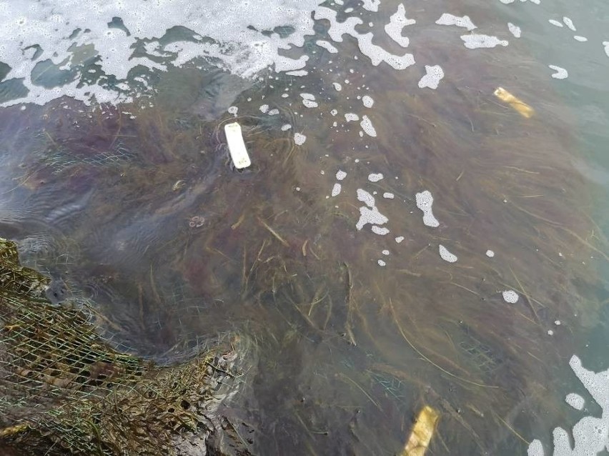 Dziwna substancja w Zatoce Puckiej. Zamiast ryb w sieciach pojawił się... śluz. "Rybacy czegoś takiego nie widzieli"