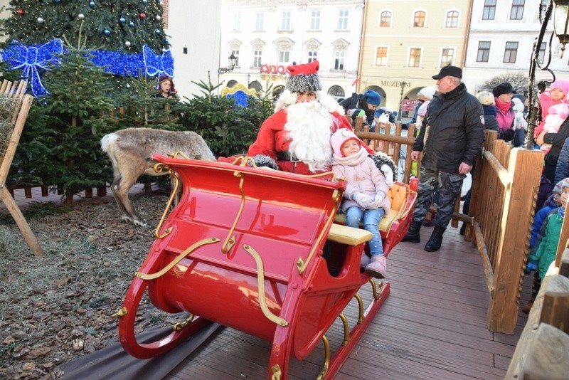  Święty Mikołaj i renifery robią furorę na Rynku w Tarnowie. Dzieci są zachwycone