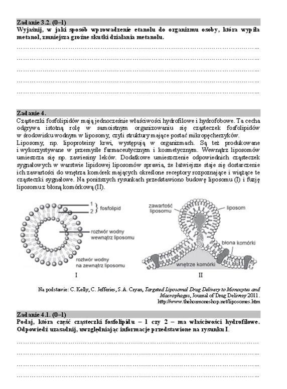 Matura BIOLOGIA 2019: Arkusze CKE, Odpowiedzi, zadania, klucz odpowiedzi.  Co było na egzaminie maturalnym? 10.09.2019 | Gazeta Współczesna