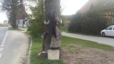 Czarownica rozbiła się na drzewie w Łupowie. Dokąd leciała?