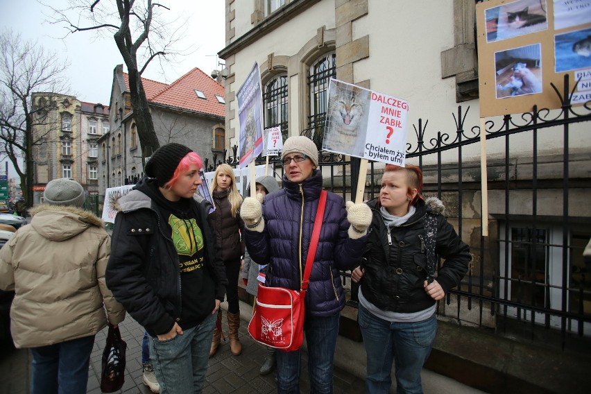 Morderca kotów z Zabrza: Rozpoczął się proces. Obrońcy...