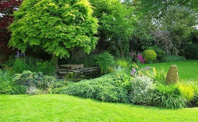 Mieszkańcy Zabrza za symboliczną kwotę mogą zadbać o swoje ogrody.