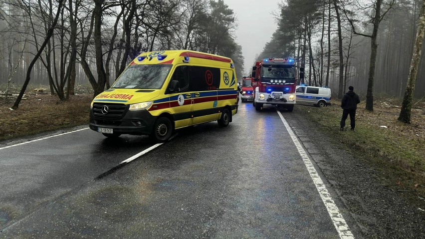 Wypadek trzech aut na DK 10 w Emilianowie. Pięć osób rannych, w tym dziecko - zdjęcia