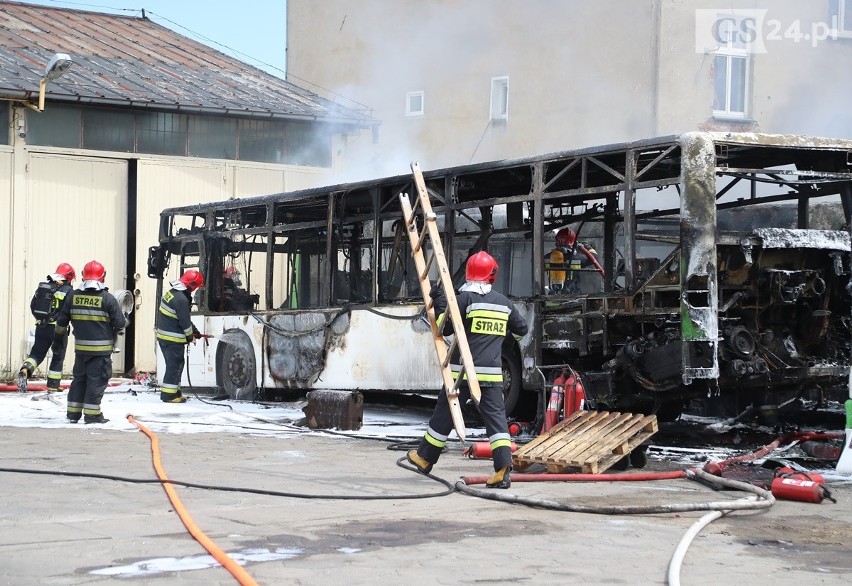 Pożar w bazie PKS w Szczecinie. Trzy autobusy spłonęły doszczętnie [ZDJĘCIA, WIDEO] 