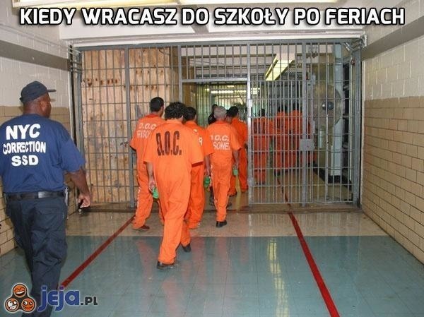 Ferie zimowe MEMY 2019. Nareszcie czas na odpoczynek! Zobacz...