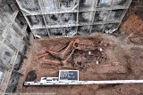 Na terenie cmentarza parafialnego w Szumowie odnaleziono szczątki czterech osób. To byli działacze podziemia niepodległościowego [ZDJĘCIA]