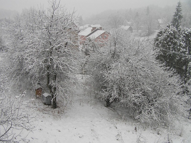 Opady śniegu w Bieszczadach...