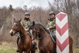 Ogólnopolski Dzień Koni w Bieszczadzkim Oddziale Straży Granicznej [ZDJĘCIA]