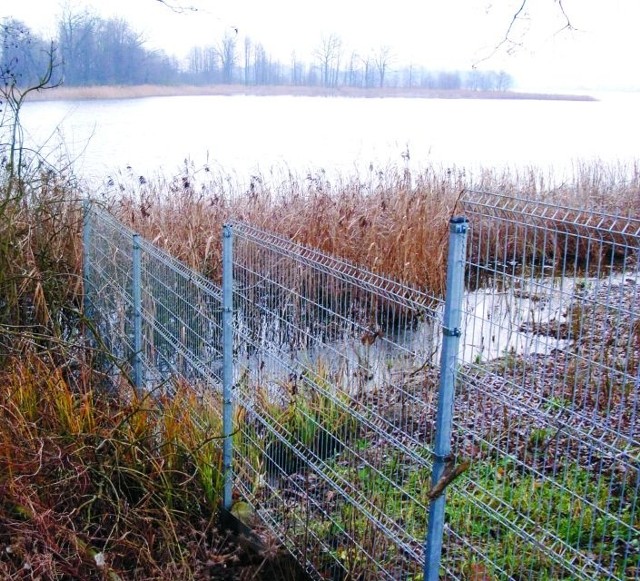 Gołym okiem widać, że brzegiem Jeziora Regielskiego ani wędkarz, ani turysta nie przejdzie. Właściciel posesji skutecznie im to uniemożliwił, wchodząc z płotem w akwen.