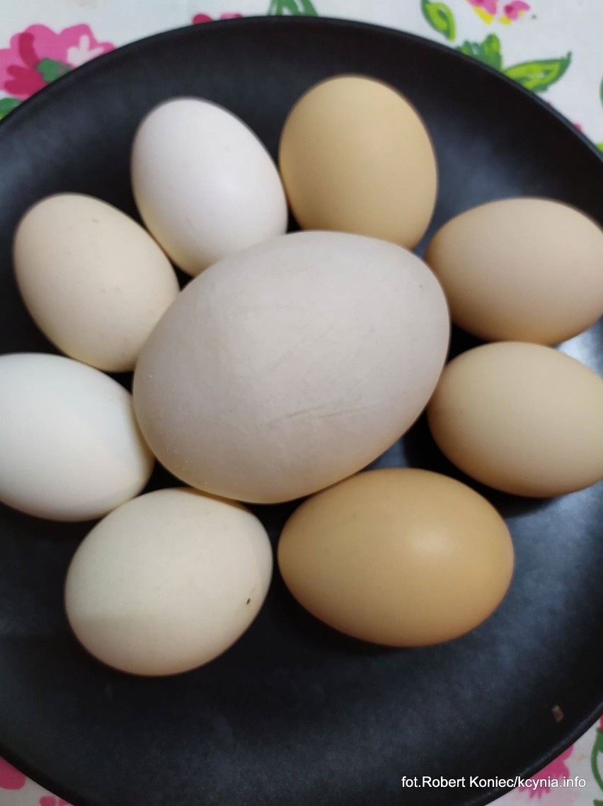 Wielkie jajo zniosła kura w naszym regionie. Zobaczcie zdjęcie!