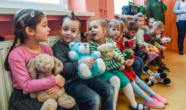 Wizyta u lekarza bywa stresująca dla dorosłego. Nic dziwnego, że i dzieci czasem za spotkaniem z lekarzem nie przepadają. Bywa, że się boją. Aby zmniejszyć ten stres, przyzwyczaić malucha do widoku personelu medycznego i przygotować do współpracy z lekarzem np. podczas badania, przedszkola odwiedzają „misiolodzy”. To specjaliści od misiów ze Szpitala Pluszowego Misia - czyli studenci medycyny, którzy na pluszakach pokazują, jak wygląda badanie lekarskie, przybliżają sprzęt medyczny, za pomocą zabawy przełamują obawy małych pacjentów. Dzieci maja okazję przybić pieczątkę na skierowaniu, posłuchać bicia serca swojego pupila, zobaczyć, jak działa USG, EKG, RTG, asystować w przeprowadzeniu operacji i założenia profesjonalnego opatrunku na uszkodzoną łapkę. W poniedziałek odwiedzili Przedszkole Niepubliczne Misiolandia w Bydgoszczy.