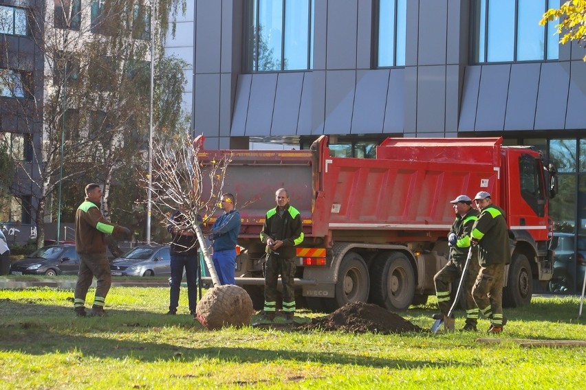 Pierwotnie wzdłuż ul. Legnickiej i Lotniczej miało pojawić...