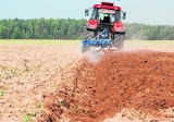 Bez potasu rośliny nie urosną. Zbadaj swoją glebę