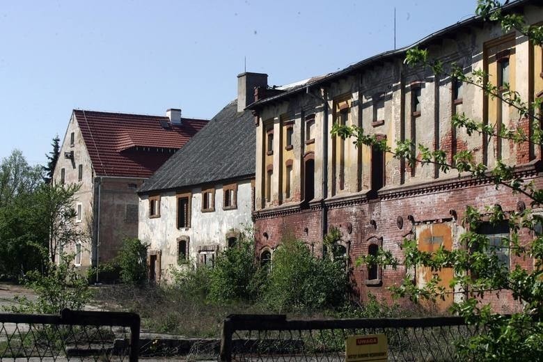 W 1951 roku powstało Ministerstwo Państwowych Gospodarstw...