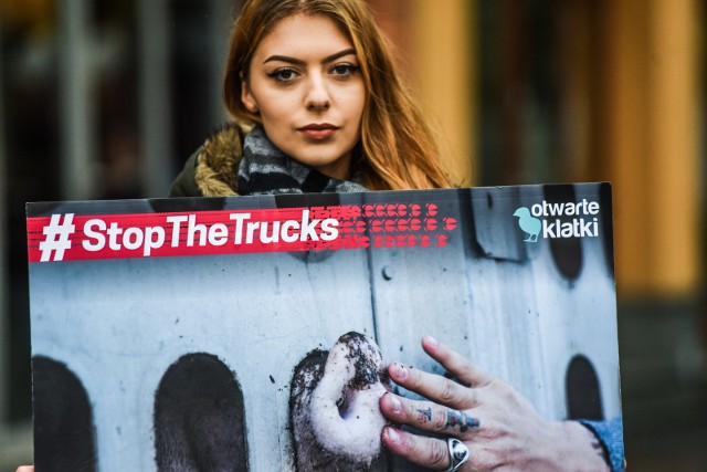 Akcja organizowana jest w ramach ogólnoeuropejskiej kampanii "Stop the Trucks"