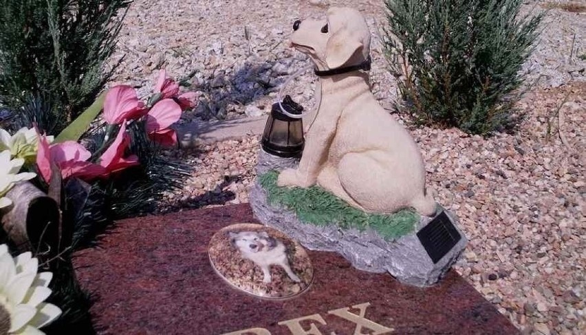 Tak ich kochali. Oto najładniejsze pomniki psów i kotów na cmentarzach dla zwierząt