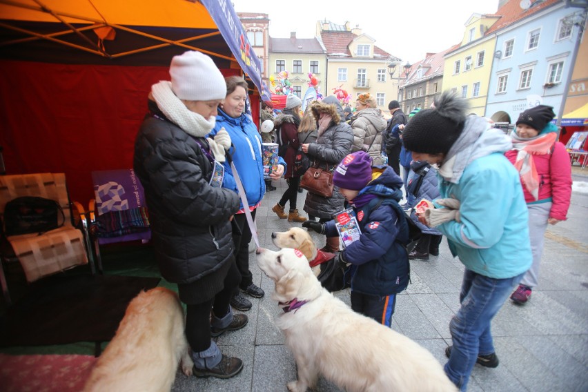 WOŚP 2019 w Gliwicach. Wolontariusze zbierają pieniądze do puszek ZDJĘCIA