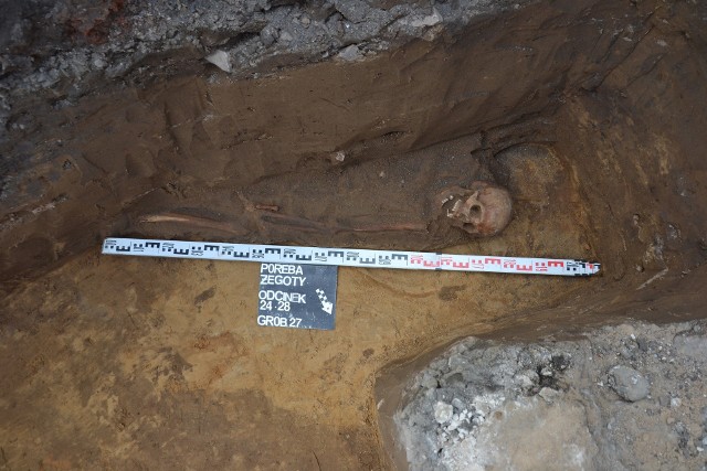 26 grobów ze szczątkami odkryto podczas remontu DW 780 w Porębie Żegoty