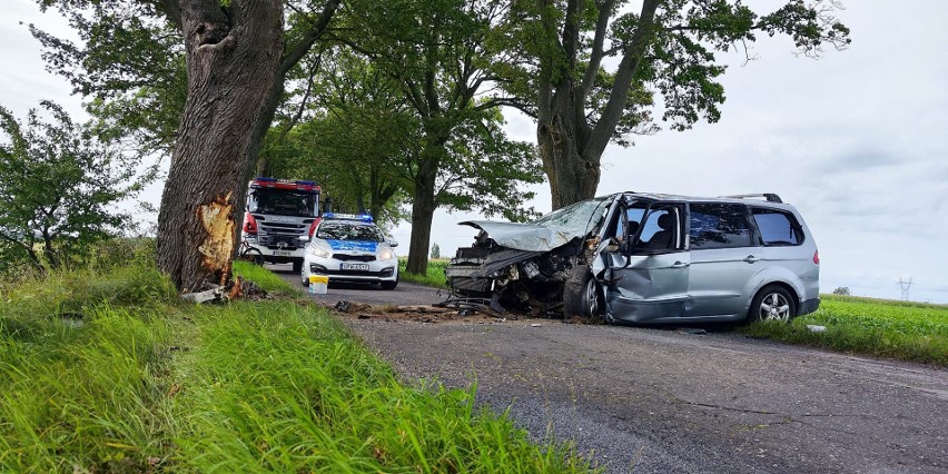 Pijany roztrzaskał się na drzewie. Wypadek pod Wolinem [ZDJĘCIA]