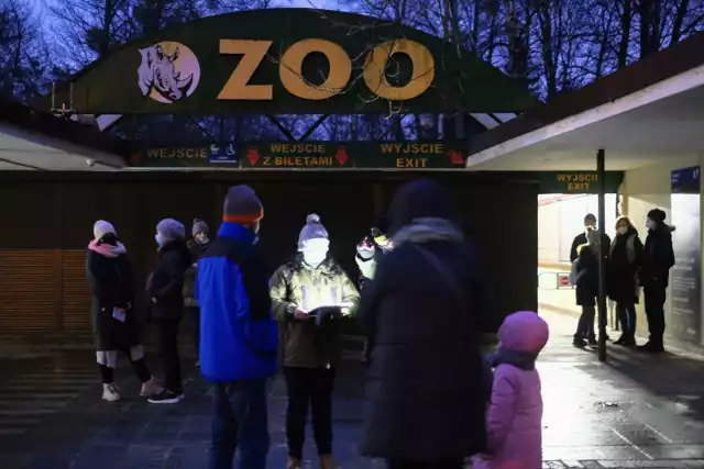 W Nowym Zoo przy Krańcowej prądu nie ma w części obiektów.