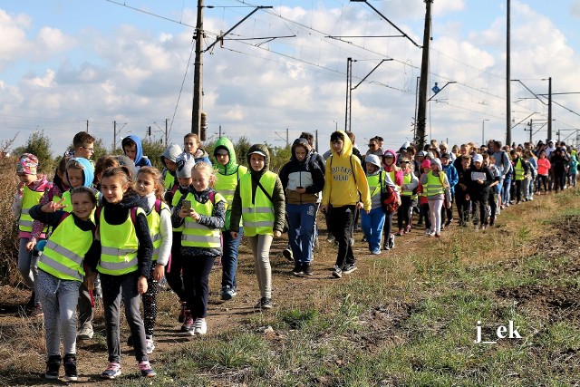 239 turystów uczestniczyło w X Rajdzie im. kapitana Pawła Cymsa. Większość z nich, to uczniowie szkół podstawowych z Inowrocławia i ze Złotnik Kujawskich. W imprezie uczestniczyli też turyści indywidualni. Rajd zorganizował inowrocławski Oddział PTTK we współpracy z 2. Pułkiem Inżynieryjnym z Inowrocławia, Zarządem Województwa Kujawsko-Pomorskiego, Zespołem Szkół Ponadgimnazjalnych im. Jana Pawła II w Kościelcu oraz Muzeum Tradycji Wojskowych Kujaw i Pomorza. Podczas rajdu przeprowadzony został konkurs wiedzy o kapitanie Cymsie oraz z podstaw krajoznawstwa. Sprzęt wojskowy zaprezentował patrol saperski z 2.IPInż. Na zwycięzców konkursów czekały nowiuteńkie plecaki turystyczne. Dodatkowo wręczono puchary za uczestnictwo: dla najliczniejszej grupy rajdowej, dla najmniejszej grupy rajdowiczów i dla najmłodszych uczestników imprezy. Nagrody wręczał turystom m. in. Rafał Cyms, wnuk bohaterskiego kapitana, który walczył z Prusakami o wyzwolenie Inowrocławia w styczniu 1919 roku.