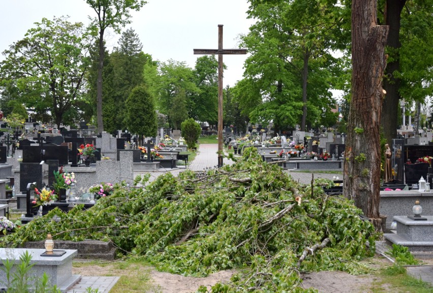 Wycinkę na cmentarzu parafialnym w Tarnobrzegu zablokowało w...