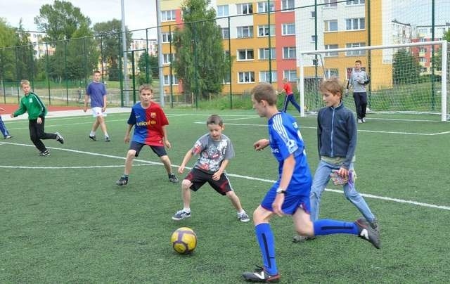 Orlik na Strzemięciniedo tekstu na czoło