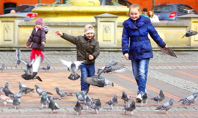 Teraz na Starym Rynku dzieci mają frajdę