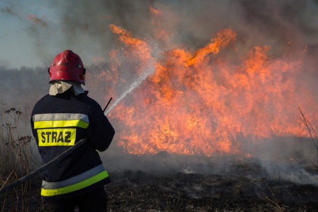 Około hektara lasu koło wsi Lipce (gmina Świdwin) gaszą strażacy.