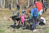 "Łączą nas drzewa": akcja sadzenia drzew z Nadleśnictwem Choczewo zintegrowała mieszkańców ziemi krokowskiej