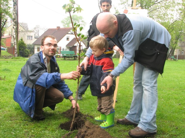 Pierwsze drzewko na plantach posadzili Marcin Jarząbek z Genius Loci oraz Arkadiusz Nawrot (ze stowarzyszenia Pro Ethica) z synem Stasiem.