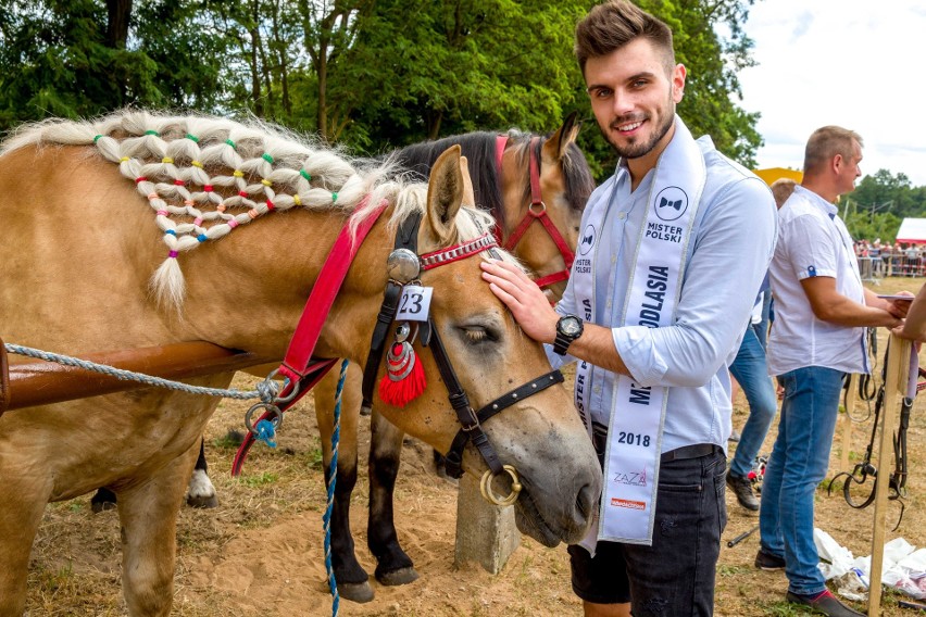 Jury dość wysoko oceniło poziom championatu.