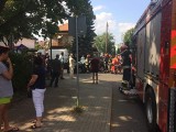 Groźny wypadek przy ul. Piastowskiej w Gdańsku. Ranna została jedna osoba [zdjęcia]
