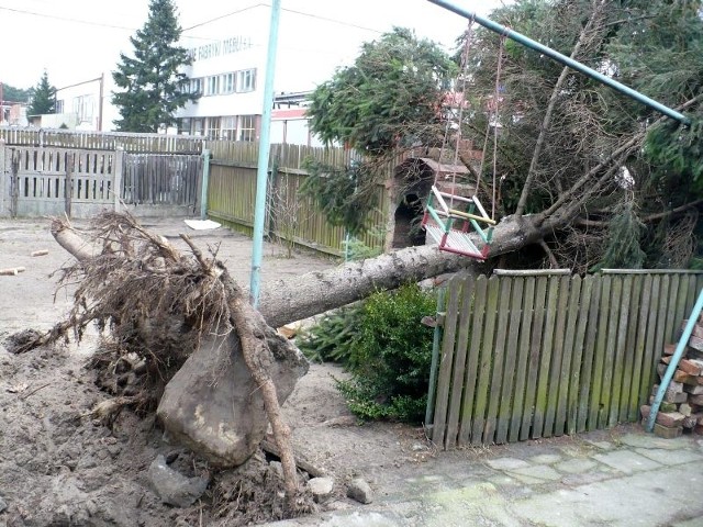 Powalone przez wichurę drzewo zatarasowało wjazd na posesję.