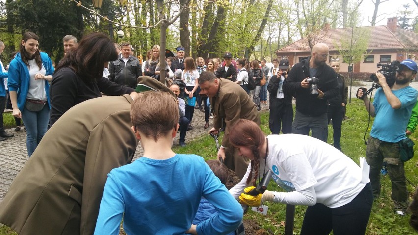 Piknik Po Stronie Natury w Żywcu. Atrakcje na rynku, a w parku sadzenie drzew ZDJĘCIA