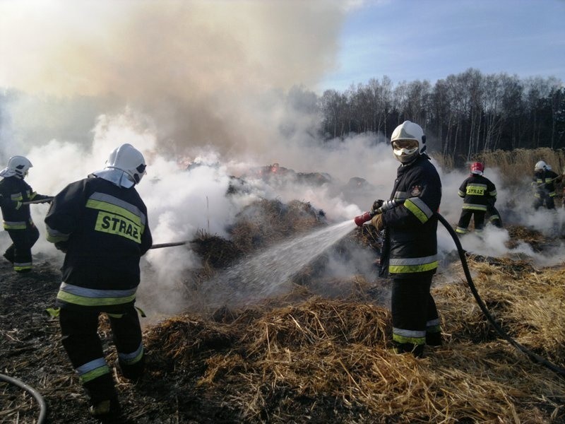 Strażacy ugasili płonącą sieczkarnię pianą gaśniczą i...