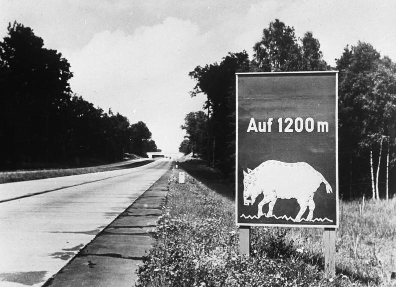 Historyczny Czwartek 2 czerwca poświęcony będzie organizacji...