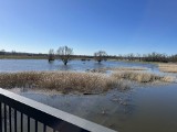 Malownicze rozlewiska nad Odrą w Cigacicach. Czy woda będzie nadal opadać? Komunikaty o sytuacji hydrologicznej 