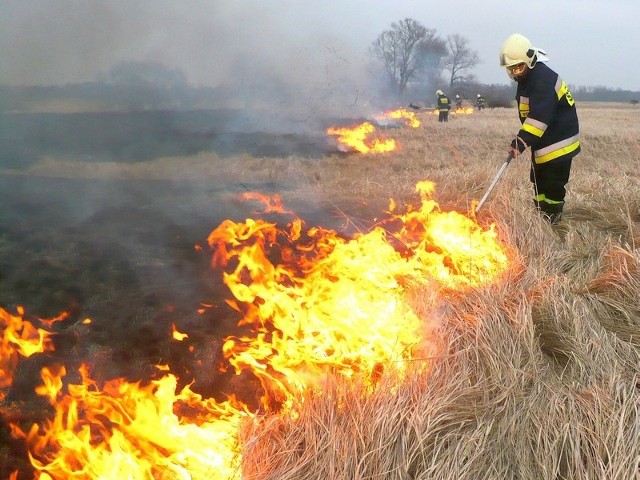 Strażacy ze Skwierzyny już siedem razy gasili trawy płonące koło Murzynowa i Warcina.