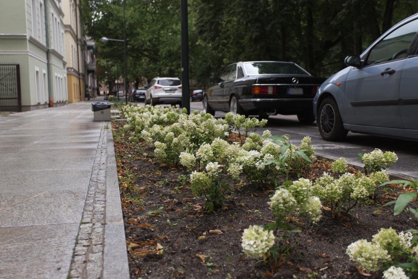 Rewitalizacja bulwarów w Słupsku