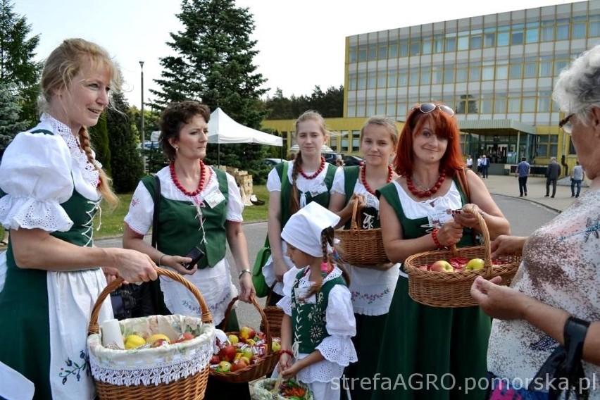 KGW Zielonowo częstowało jabłkami i cukierkami