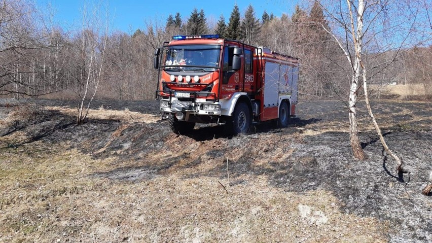 Strażacy z OSP Łososina Górna brali udział w gaszeniu pożaru...