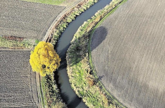 Jesień w obiektywie Bartłomieja Cichonia