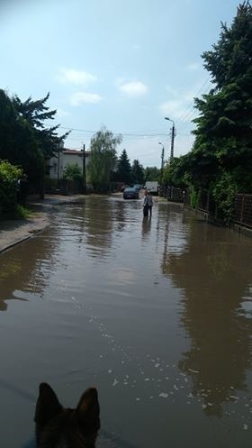 Rano przez Poznań przetoczyły się burze. W niektórych...