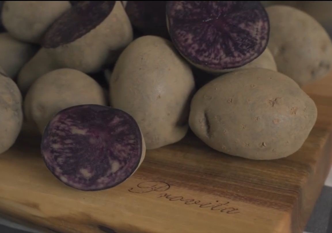 Ten ziemniak jest w środku fioletowy. Najnowsze odmiany ziemniaka 2021 |  Strefa Agro