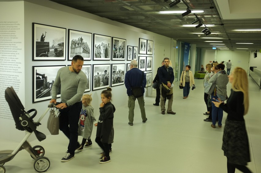 Muzeum Śląskie ma już sporo atrakcji dla dzieci, dołącza -...