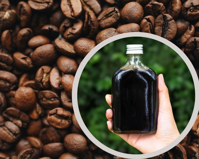 Przygotowanie nalewki z całych ziaren kawy wymaga więcej czasu, ale pozwala uzyskać bardziej aromatyczny trunek niż z użyciem nasion zmielonych.