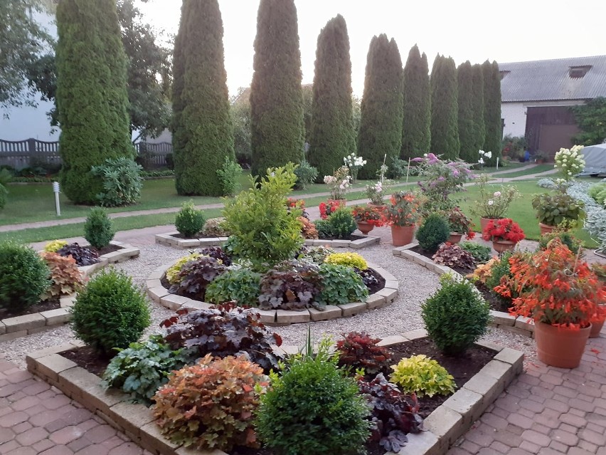 Oto ogrody i piękne rośliny naszych czytelników (zdjęcia)