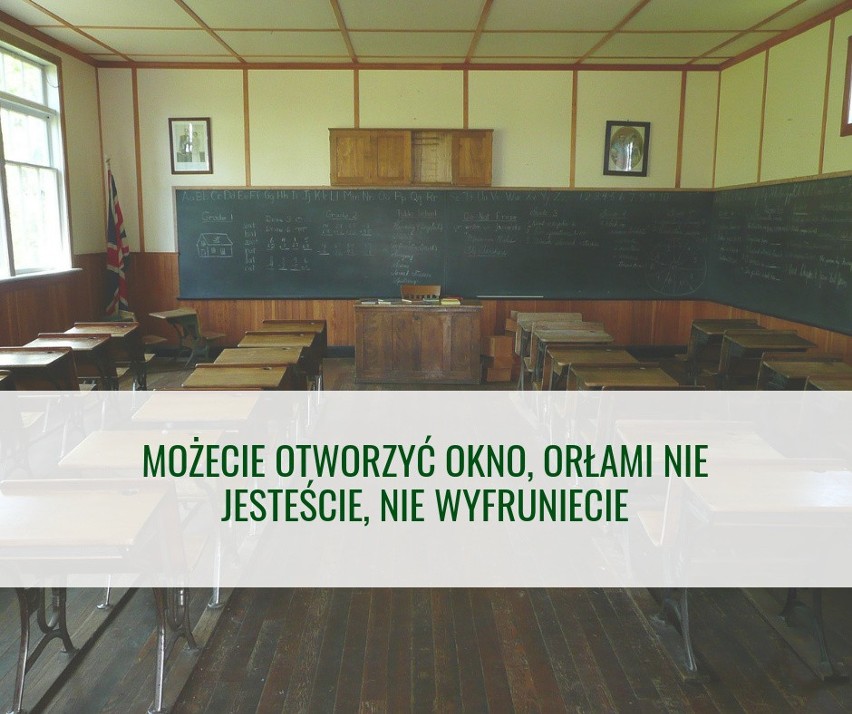 Najlepsze powiedzenia nauczycieli w Białymstoku. Internauci dzielą się wspomnieniami ze szkolnych lat