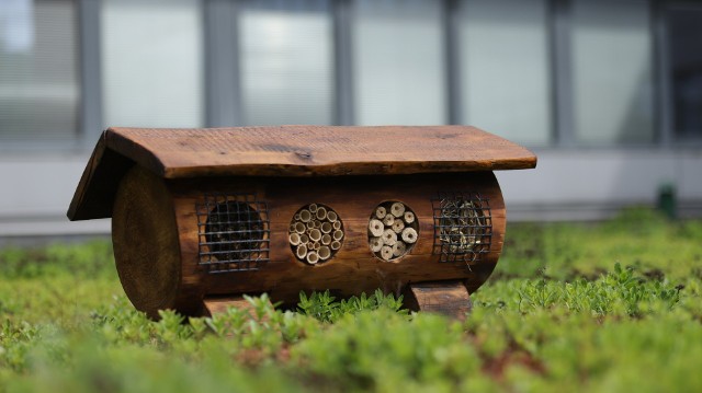 Wzorowany na projekcie starych barci do hodowli pszczół, zbudowany z drewna, łodyg forsycji i maliny, z brzozowymi palikami i wysuszonymi pędami traw oraz zabezpieczony przed dostępem drapieżników – to pierwszy na Wydziale Zarządzania Uniwersytetu Łódzkiego hotel dla owadów, na dodatek zbudowany przez samych pracowników. Pierwszy domek dla owadów stanął na zielonym dachu Wydziału, a jeżeli zostanie dobrze przyjęty przez przyszłych lokatorów, domków pojawi się więcej.